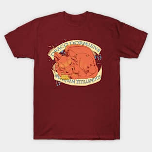 Never Tickle a Sleeping Dragon T-Shirt